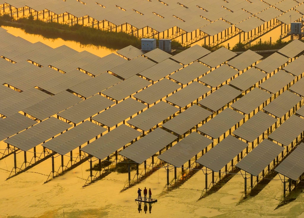 Volunteers check and maintain the operation of photovoltaic equipment at the fishing-light complementary photovoltaic power generation base in Taizhou, Jiangsu province, China. Photo: Getty Images
