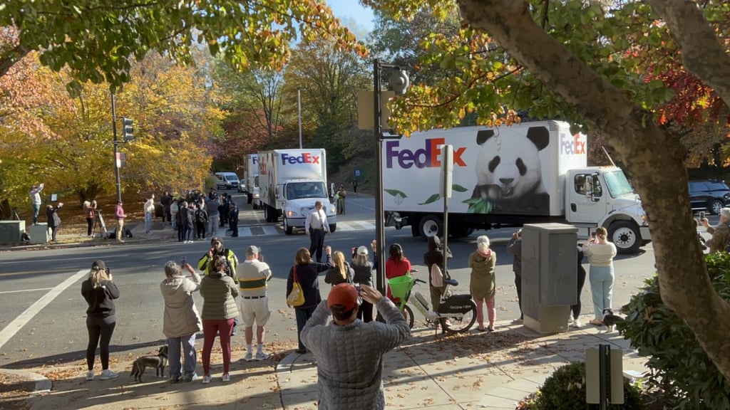 Giant pandas Mei Xiang, Tian Tian and Xiao Qi Ji depart the National Zoo in Washington on Wednesday. Photo: Smithsonian’s National Zoo and Conservation Biology Institute Giant pandas Mei Xiang, Tian Tian and Xiao Qi Ji depart the National Zoo in Washington on Wednesday. Photo: Smithsonian’s National Zoo and Conservation Biology Institute