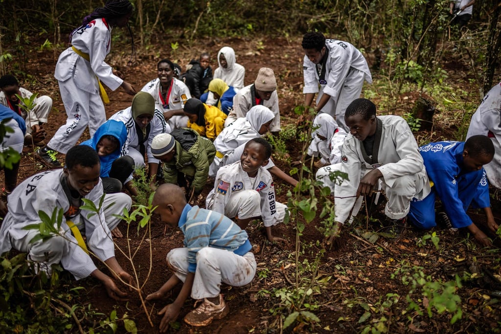 Members of a Taekwondo academy plant tree seedlings in Nairobi during a nationwide tree planting public holiday on Monday. Photo: AFP