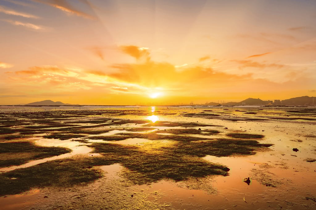 Pak Nai, on the coast of the northwestern New Territories, is home to mangroves, oyster beds and rich marine life, and is also known for its spectacular sunsets. Photo: Handout Pak Nai, on the coast of the northwestern New Territories, is home to mangroves, oyster beds and rich marine life, and is also known for its spectacular sunsets. Photo: Handout