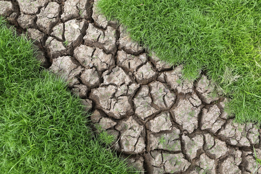 Cracked soil in a rice field in Indonesia’s Banda Aceh. Smallholder farmers across Southeast Asia are the most exposed to unpredictable weather patterns. Photo: EPA-EFE Cracked soil in a rice field in Indonesia’s Banda Aceh. Smallholder farmers across Southeast Asia are the most exposed to unpredictable weather patterns. Photo: EPA-EFE