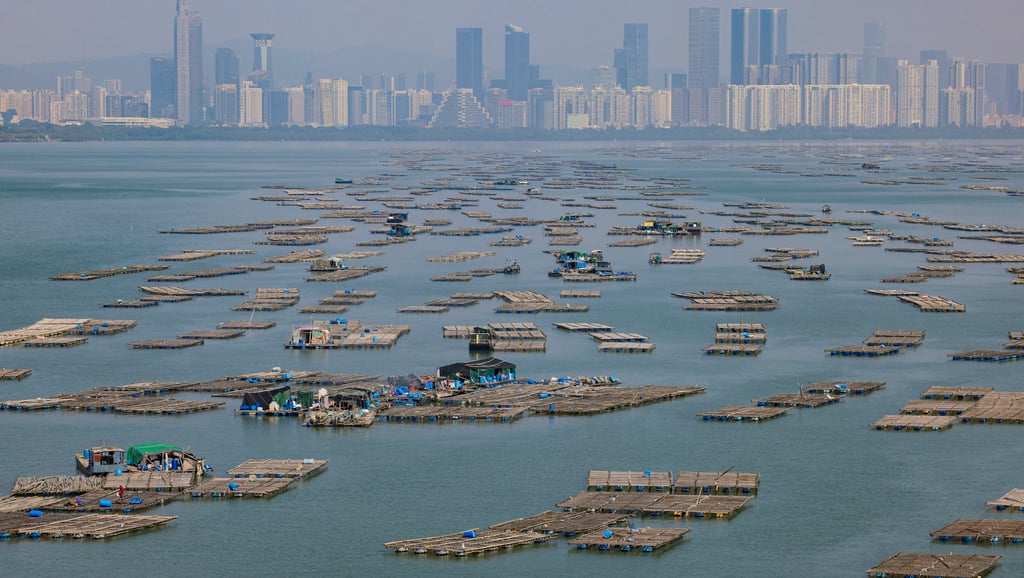 An oyster farm in Deep Bay, Lau Fau Shan, Hong Kong. Photo: Jelly Tse An oyster farm in Deep Bay, Lau Fau Shan, Hong Kong. Photo: Jelly Tse
