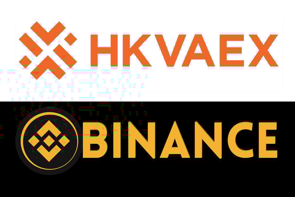 The HKVAEX and Binance logos. Photo: Handout The HKVAEX and Binance logos. Photo: Handout