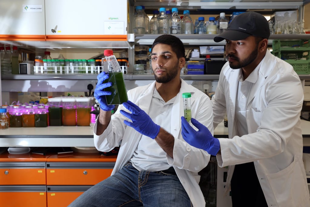 AlGreen chief technology officer Rehaan Lulla (left) and senior research analyst Tasin Khan at the company’s lab in Hong Kong Science and Technology Park. Photo: Yik Yeung-man