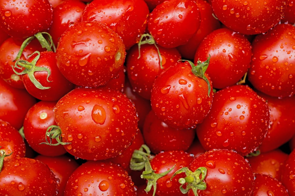 The red pigments, vitamins and potassium in fresh tomatoes make them a healthy addition to your diet, and cooking them helps release their goodness. Photo: Shutterstock The red pigments, vitamins and potassium in fresh tomatoes make them a healthy addition to your diet, and cooking them helps release their goodness. Photo: Shutterstock