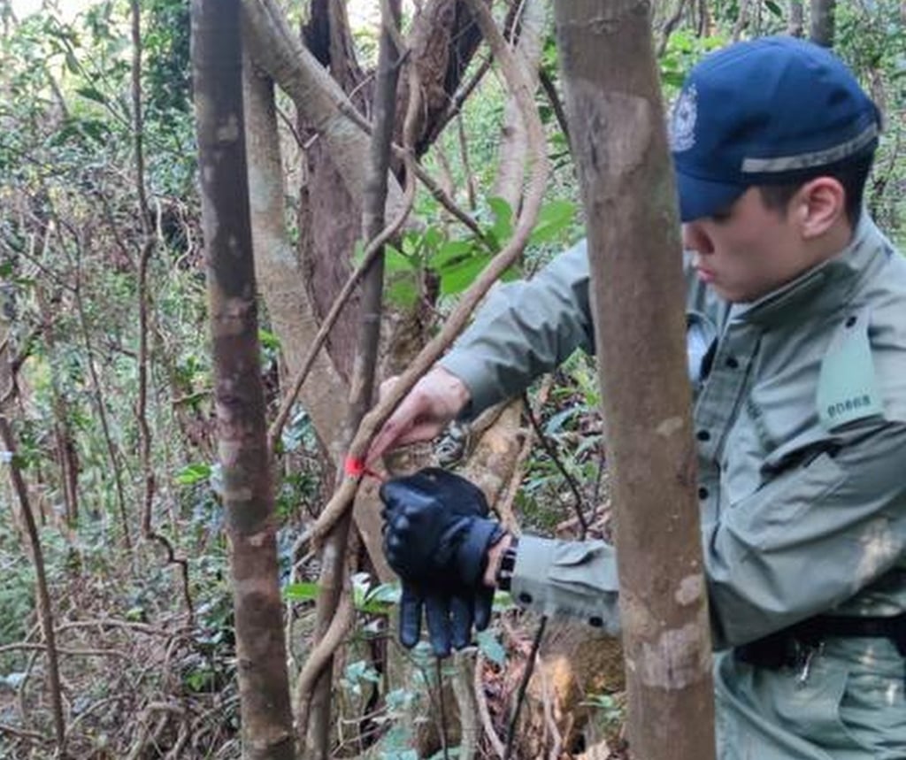 Hong Kong police untie ribbons as part of efforts to combat burglaries. Photo: HKPF Hong Kong police untie ribbons as part of efforts to combat burglaries. Photo: HKPF