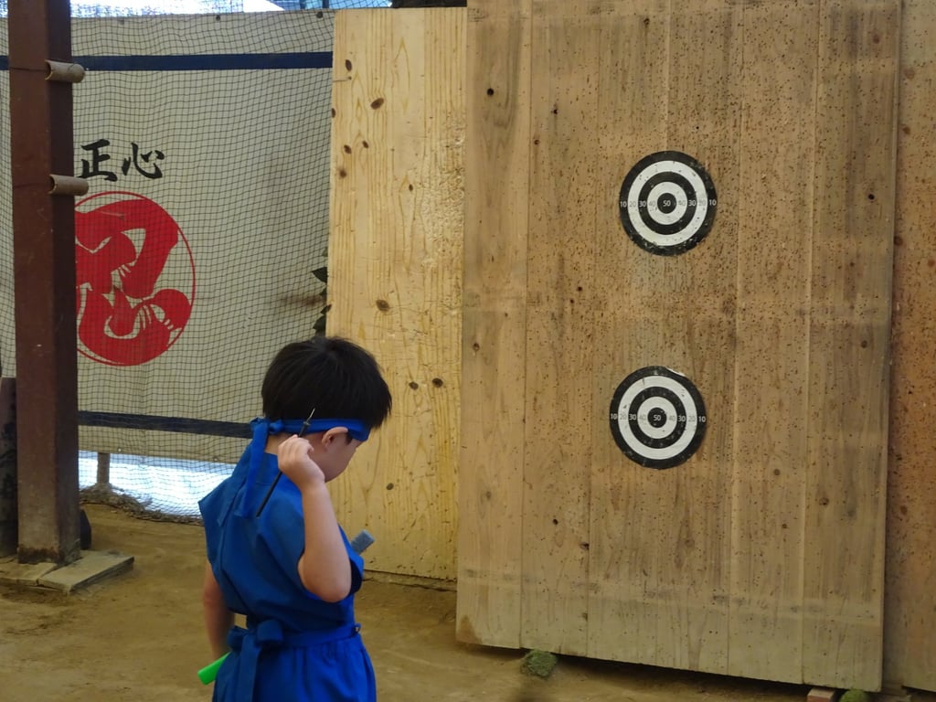 A young ninja in training throws darts in Nabari, Mie prefecture. The arts of fighting, camouflage, stealth and espionage were once highly valued in this part of Japan. Photo: Greg Goodmacher A young ninja in training throws darts in Nabari, Mie prefecture. The arts of fighting, camouflage, stealth and espionage were once highly valued in this part of Japan. Photo: Greg Goodmacher