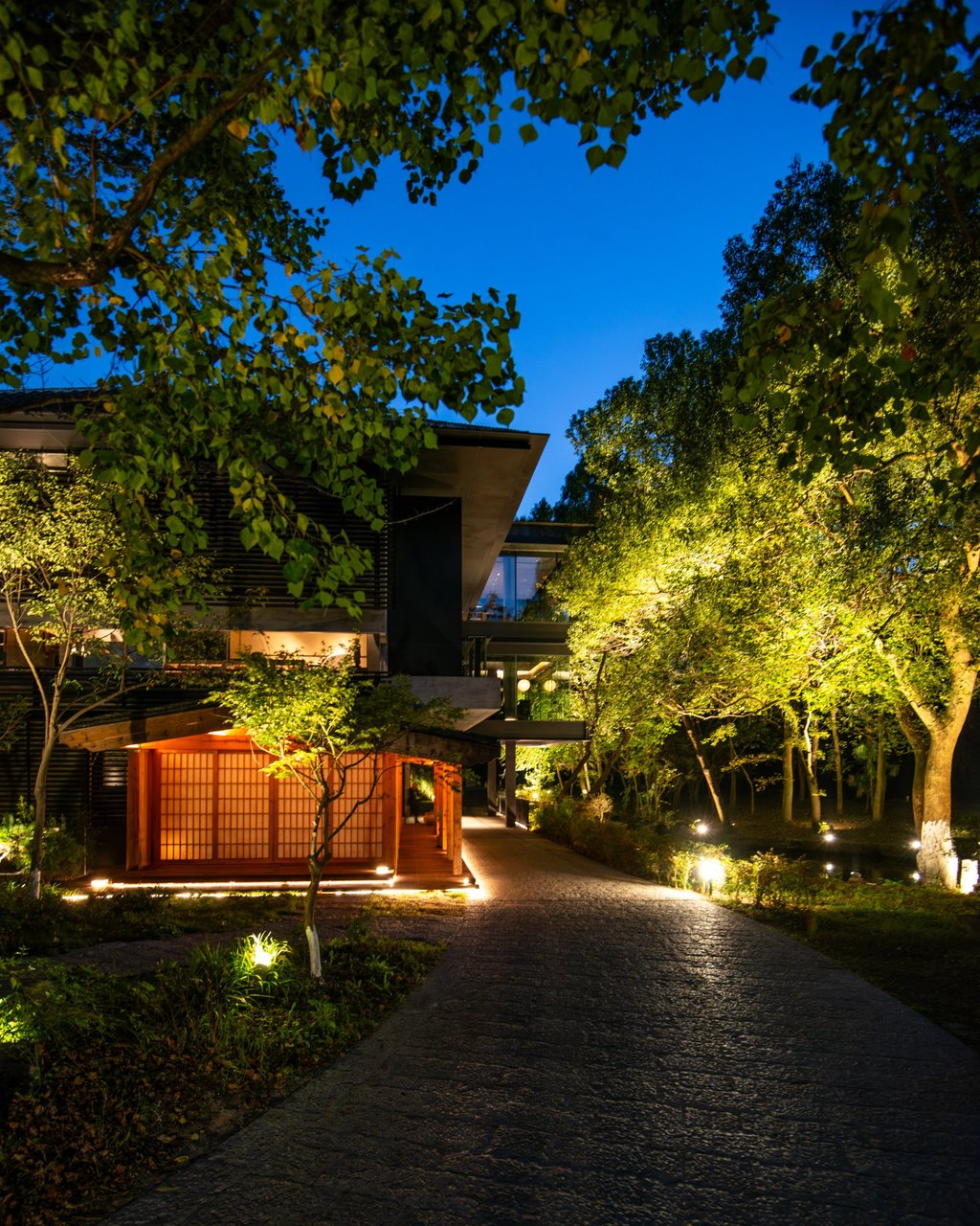 Ru Yuan is in Hangzhou Botanical Garden. Photo: Alex Ang