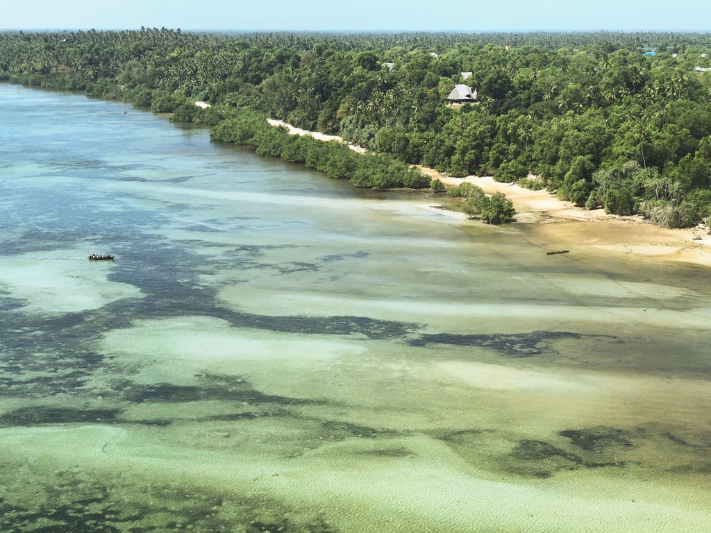A section of lush coastline on Mafia Island. Photo: Getty Images