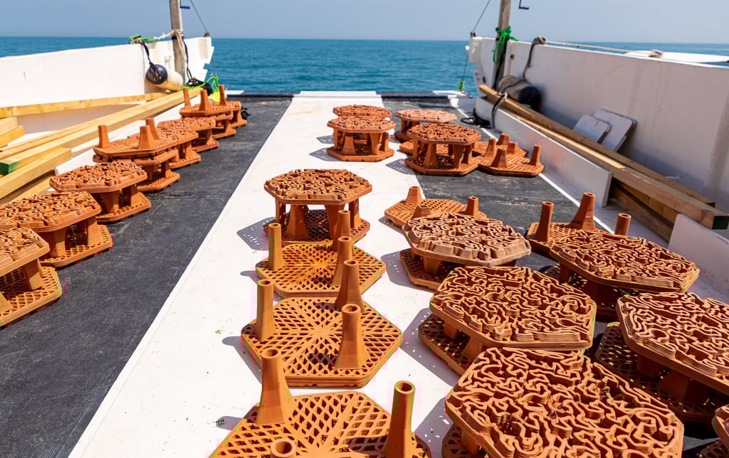 Hong Kong marine tech start-up Archireef has announced a partnership with the Middle East’s biggest bank, First Abu Dhabi Bank (FAB), to deploy the firm’s 3D-printed terracotta tiles to restore the degraded reef ecosystem off the coasts of the Gulf nation. Photo: Archireef Hong Kong marine tech start-up Archireef has announced a partnership with the Middle East’s biggest bank, First Abu Dhabi Bank (FAB), to deploy the firm’s 3D-printed terracotta tiles to restore the degraded reef ecosystem off the coasts of the Gulf nation. Photo: Archireef