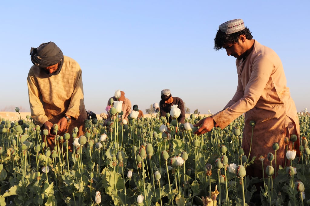 Forget Afghanistan, Myanmar is now the world's top opium producer, UN says  | South China Morning Post