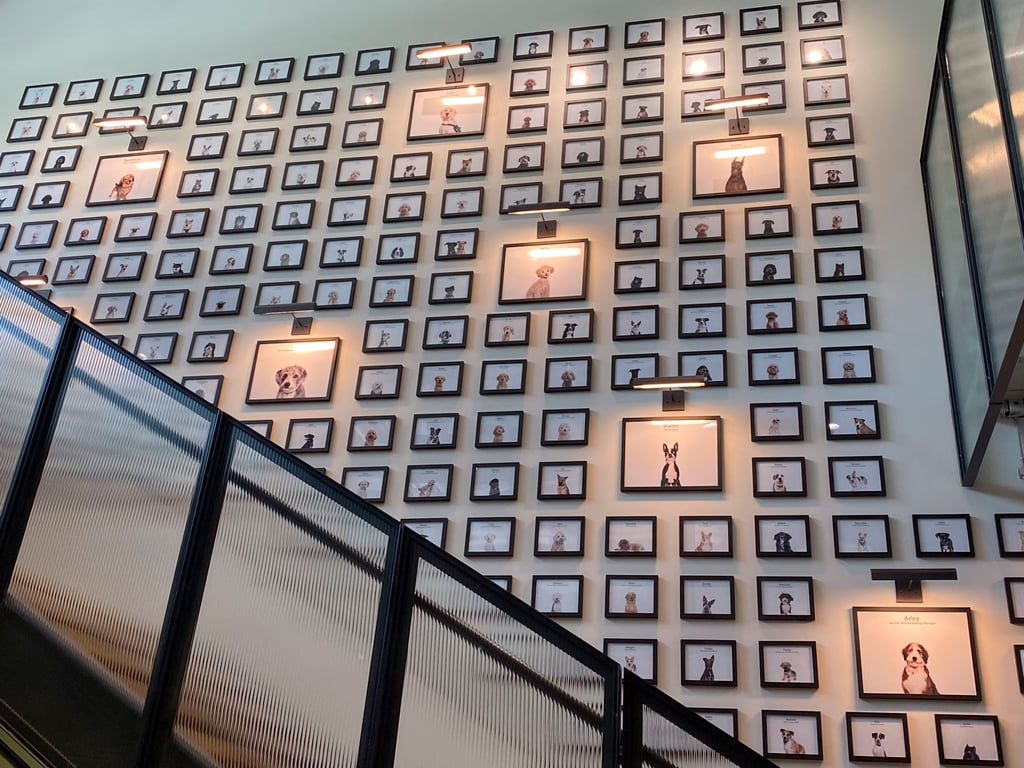 The employee pet dog wall inside Amazon HQ2. Photo: Tamara Hinson