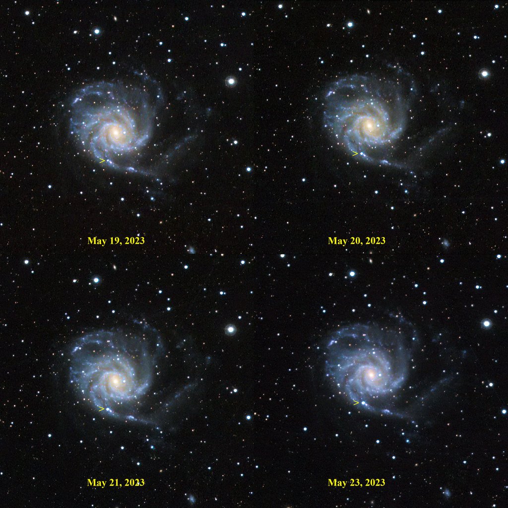 Amateur astronomer Eliot Herman photographed the star and was contacted by Wang Xiaofeng’s team. Photo: Eliot Herman