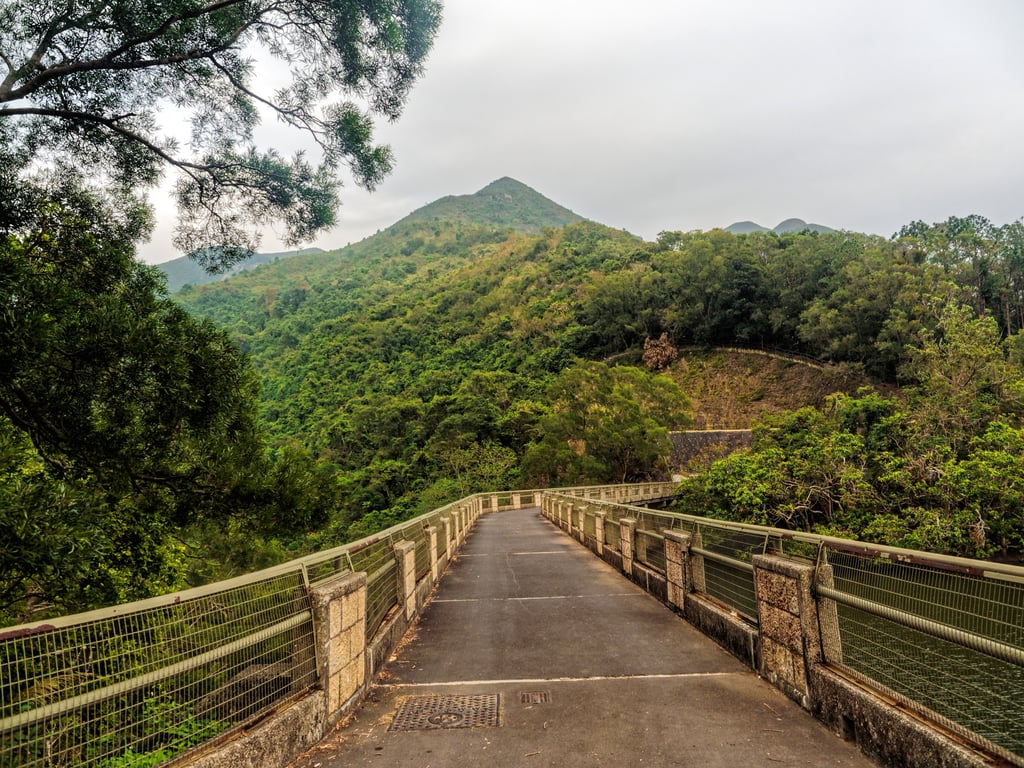 Hok Tau Reservoir provides the ideal setting for a gentle Boxing Day hike. Photo: Martin Williams Hok Tau Reservoir provides the ideal setting for a gentle Boxing Day hike. Photo: Martin Williams
