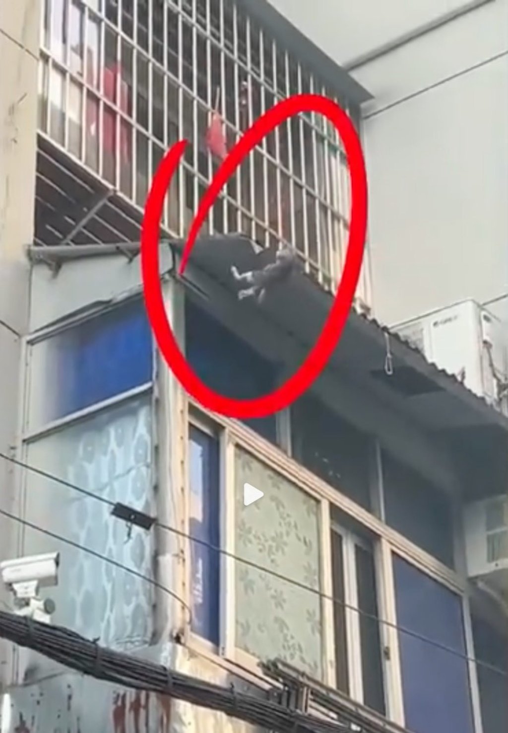 The 15-year-old took of his coat, fashioned it into a makeshift net and waited 20 minutes in the cold weather for the stranded kitten to fall. Photo: SCMP composite/Weibo The 15-year-old took of his coat, fashioned it into a makeshift net and waited 20 minutes in the cold weather for the stranded kitten to fall. Photo: SCMP composite/Weibo