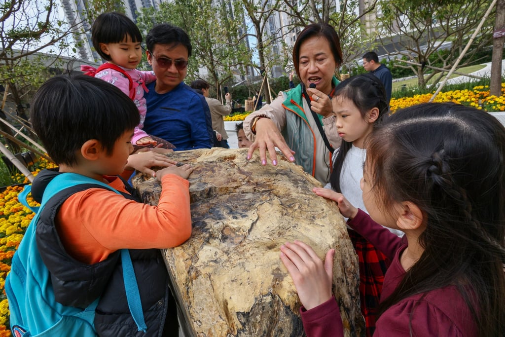 Children examine a wood fossil on display at Tsuen Wan’s Nina Park. Photo: Dickson Lee Children examine a wood fossil on display at Tsuen Wan’s Nina Park. Photo: Dickson Lee