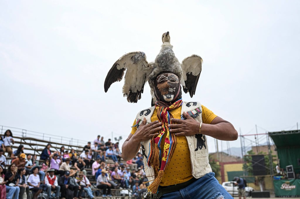 An inhabitant of the province of Chumbivilcas, in Cuzco, southern Peru, wears an animal hat while celebrating Takanakuy in San Juan de Lurigancho, on the outskirts of Lima, on December 25, 2023. Photo: AFP