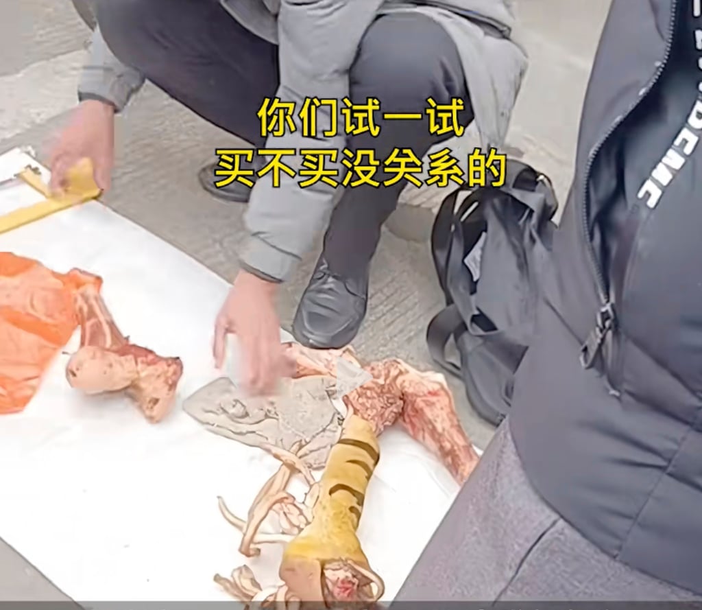 The vendors were caught trying to sell the fake tiger bones at a market in southern China. Photo: Douyin The vendors were caught trying to sell the fake tiger bones at a market in southern China. Photo: Douyin