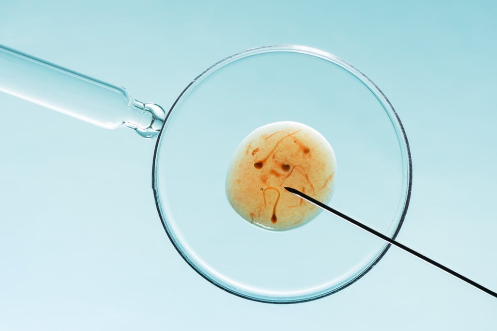Under the law in China, a child produced by fertility treatment agreed by both parents comes with the same rights and obligations as a child born naturally. Photo: Shutterstock Under the law in China, a child produced by fertility treatment agreed by both parents comes with the same rights and obligations as a child born naturally. Photo: Shutterstock
