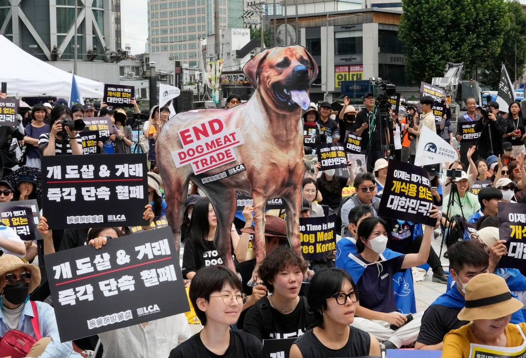 Animal rights activists stage a rally in Seoul last year opposing South Korea’s traditional culture of eating dog meat. Photo: AP Animal rights activists stage a rally in Seoul last year opposing South Korea’s traditional culture of eating dog meat. Photo: AP