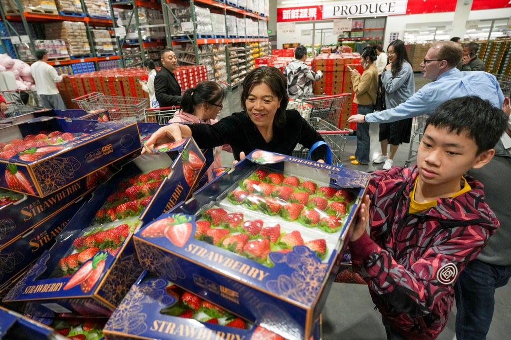 Shopper stock up on boxes of strawberries on the second day of operation at the new Costco bulk-buy superstore in Shenzen. Photo: Eugene Lee Shopper stock up on boxes of strawberries on the second day of operation at the new Costco bulk-buy superstore in Shenzen. Photo: Eugene Lee