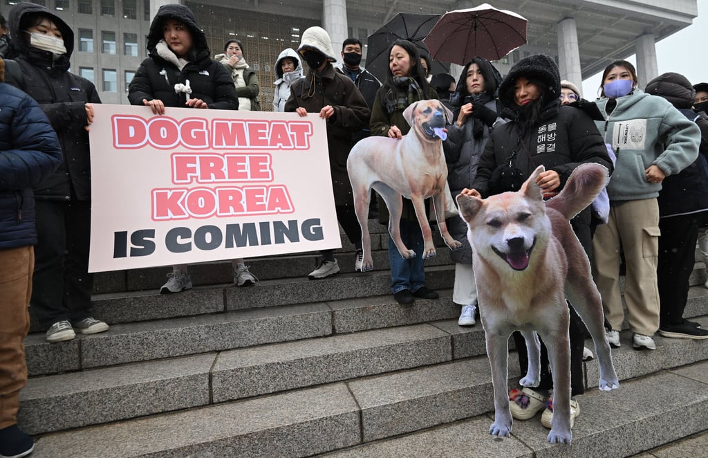Activists in Seoul welcome a bill banning dog meat trade on January 9. Photo: AFP/Getty Images/TNS Activists in Seoul welcome a bill banning dog meat trade on January 9. Photo: AFP/Getty Images/TNS