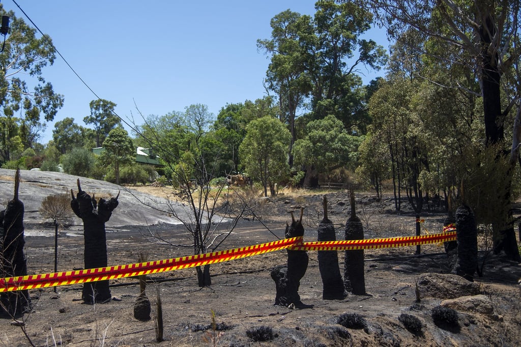 Burnt trees and shrubbery after a bushfire at Parkerville in Perth, Western Australia, last month. Heatwave alerts are at the highest danger rating for a second day for parts of the state on Sunday. Photo: EPA