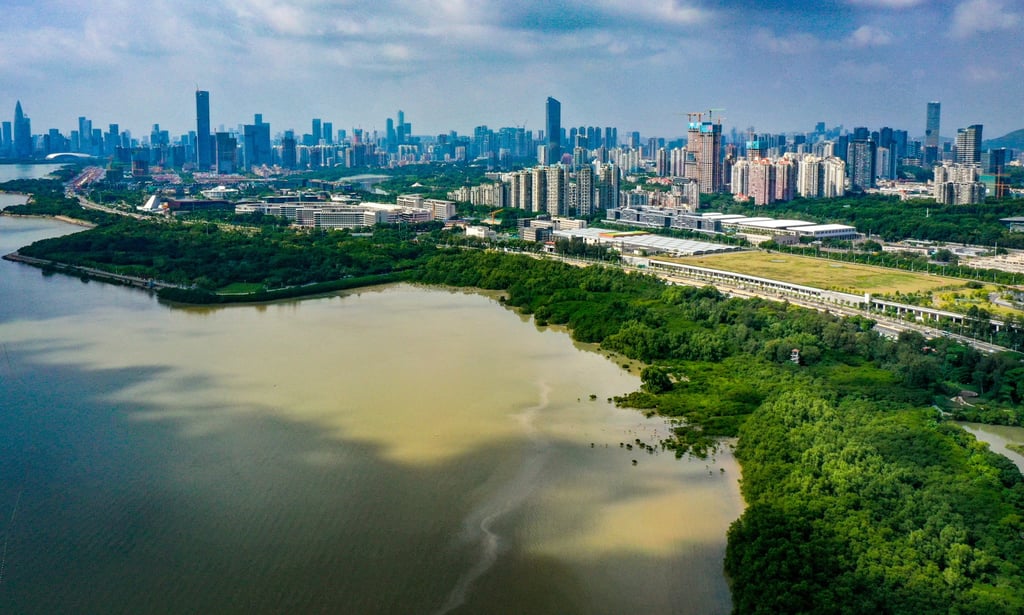 An aerial photo taken on November 11, 2022, shows a mangrove forest along the coastal area of the Shenzhen Bay in Shenzhen, south China’s Guangdong Province. Projects to restore such forests create carbon credits that emitters can buy to offset their emissions. Photo: Xinhua