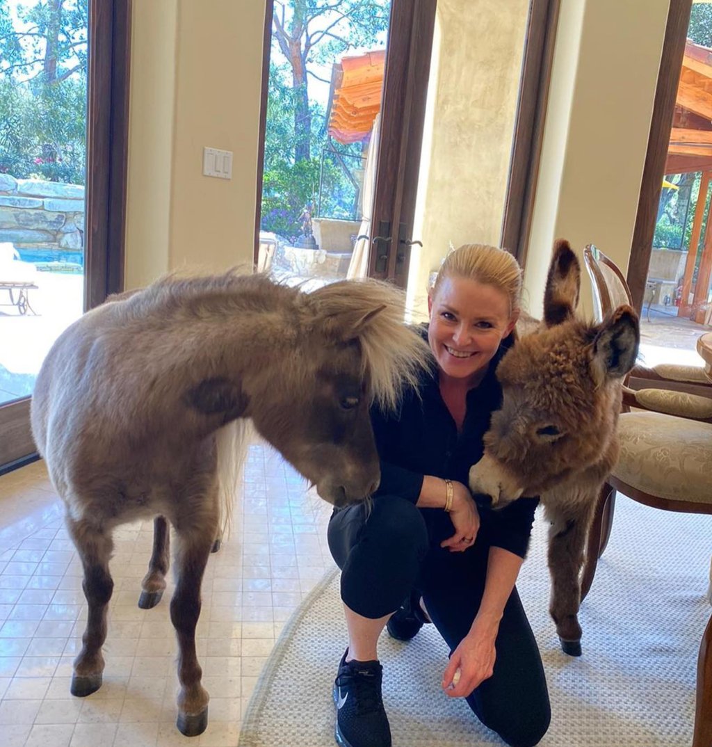 Animal-lover Heather Milligan on national pet day. Photo: @hmillipt/Instagram