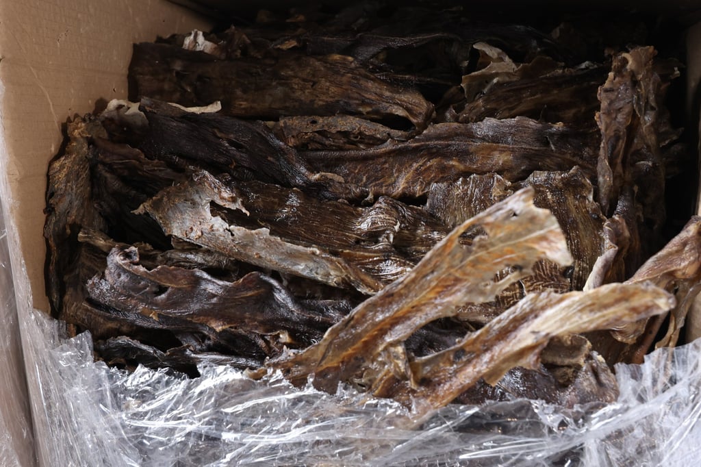 Customs says the dried shark skin haul is worth HK$1.7 million. Photo: Jelly Tse Customs says the dried shark skin haul is worth HK$1.7 million. Photo: Jelly Tse