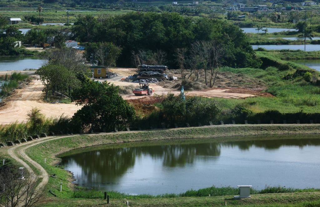 Sam Po Shue, part of the wetland area included in the Northern Metropolis development strategy. Photo: Dickson Lee