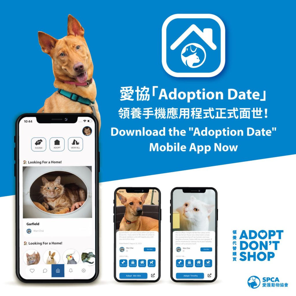 The SPCA has launched Hong Kong’s first “dating-style” mobile app for animal adoption. Photo: SPCA The SPCA has launched Hong Kong’s first “dating-style” mobile app for animal adoption. Photo: SPCA