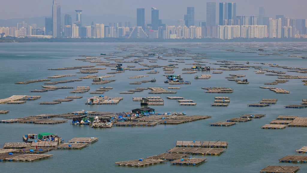 An oyster shed in Lau Fau Shan. Fifteen hectares of the land under the plan have been allocated for the construction of digital technology facilities. Photo: Jelly Tse