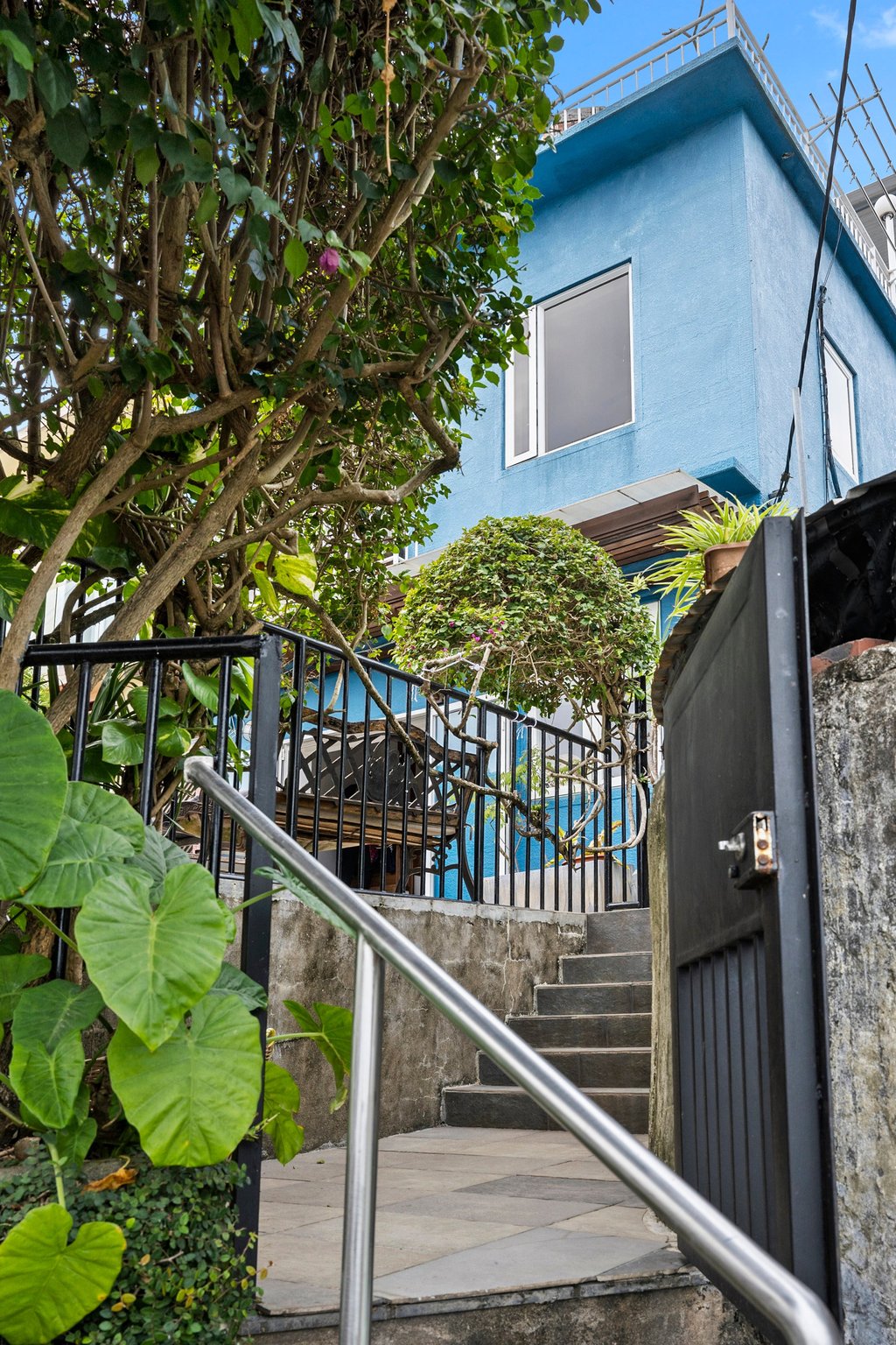 The home is painted International Klein Blue, “or close to it”. Photo: Desmond Chan The home is painted International Klein Blue, “or close to it”. Photo: Desmond Chan