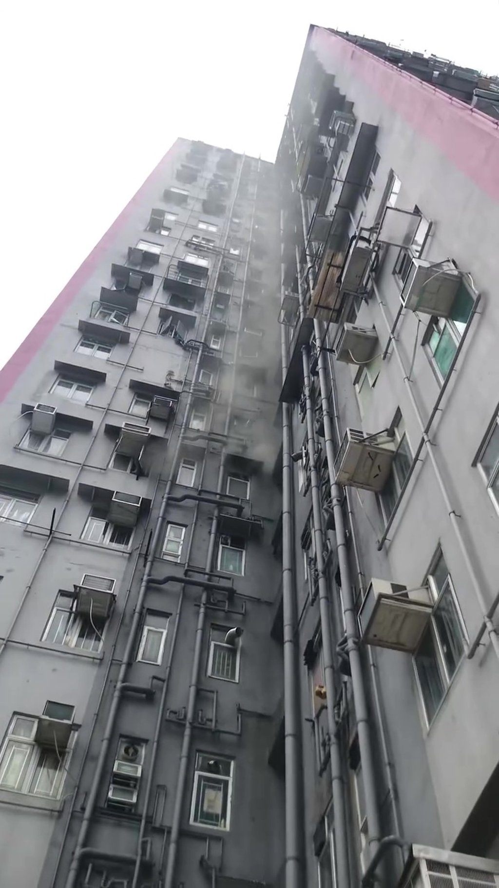 The fire that broke out in the eighth-floor flat in Tak Cheong Building at No 1001 Kwai Chung Road in the New Territories at around 1.30pm on Sunday. Photo: Facebook/hkanimalpost The fire that broke out in the eighth-floor flat in Tak Cheong Building at No 1001 Kwai Chung Road in the New Territories at around 1.30pm on Sunday. Photo: Facebook/hkanimalpost