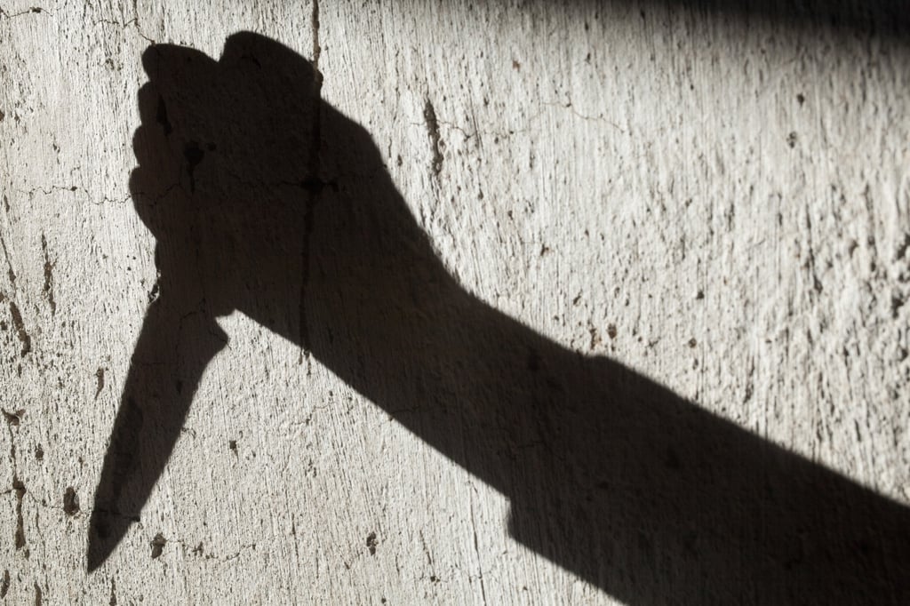 Wang stabbed his 22-year-old roommate above the rib cage with a 24cm kitchen knife, the court heard. Photo: Shutterstock Stock