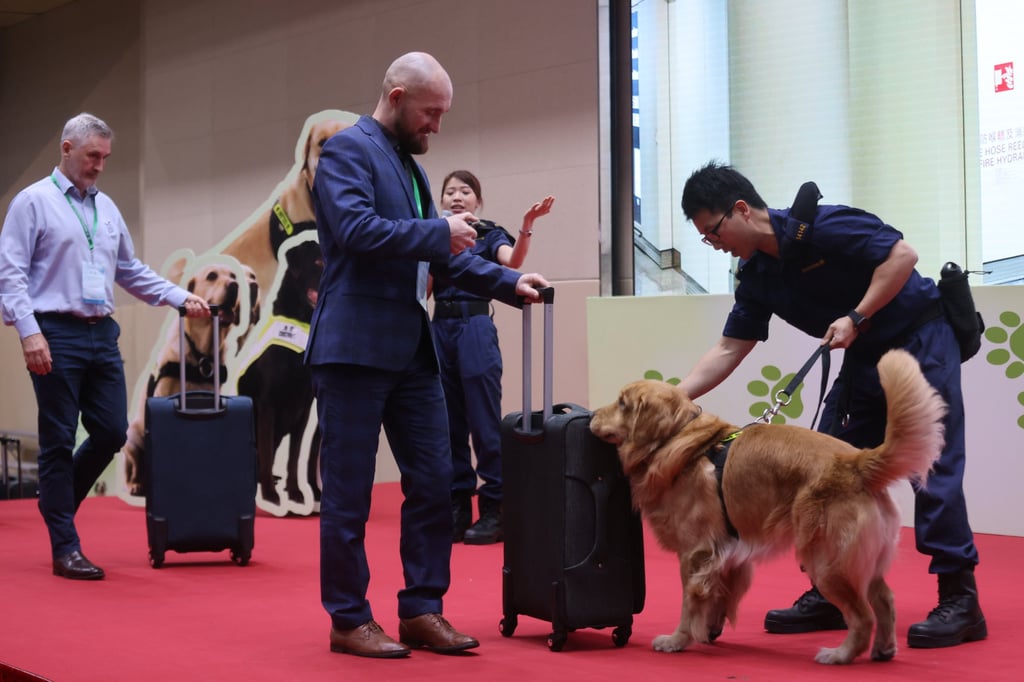 A sniffer dog performs a demonstration at the World Customs Organisation Regional Dog Training Centre inauguration ceremony. Photo: Jonathan Wong A sniffer dog performs a demonstration at the World Customs Organisation Regional Dog Training Centre inauguration ceremony. Photo: Jonathan Wong