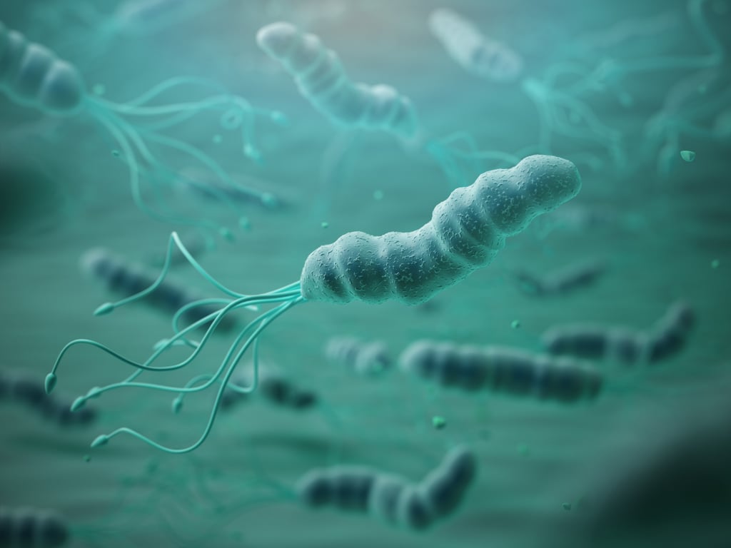 About a quarter of China’s urban population are infected with Helicobacter pylori, a much lower rate than previously thought. Photo: Shutterstock