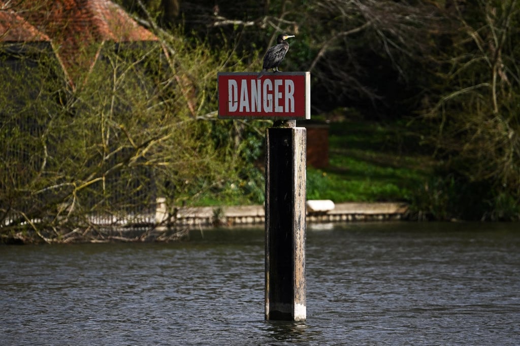 A bird sits atop a “Danger” sign on the River Thames. Photo: Reuters