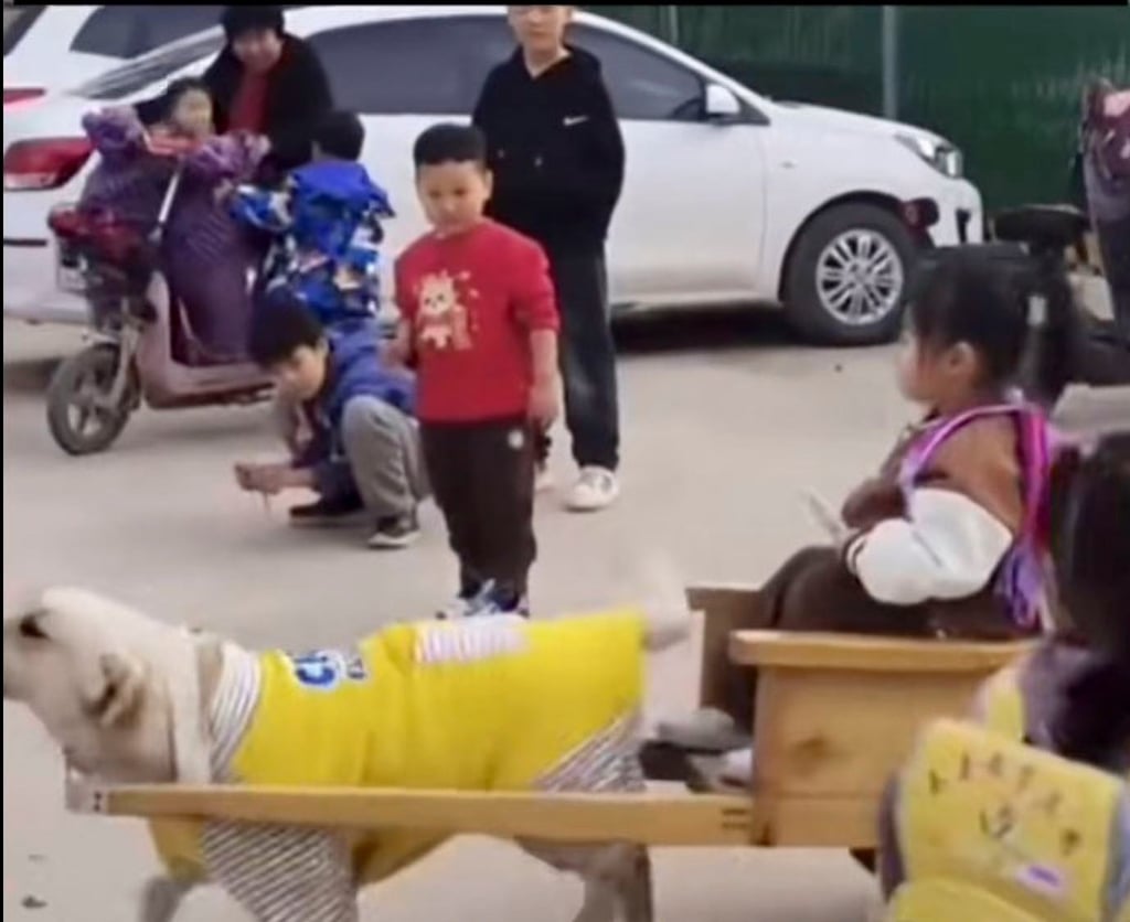 The little girl is pulled by her trusty canine as envious nursery classmates look on. Photo: Douyin The little girl is pulled by her trusty canine as envious nursery classmates look on. Photo: Douyin