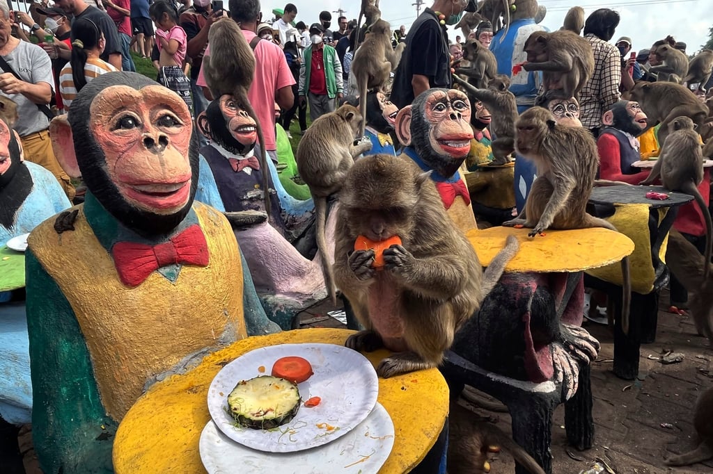 Monkeys eat fruit during a festival in Lopburi province, Thailand. Wildlife officials laid out a plan to bring peace after at least a decade of human-monkey conflict. Photo: AP