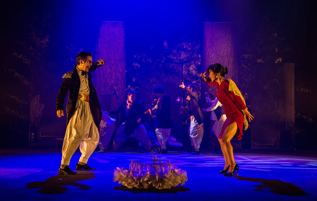 In Hamlet Avataar, which will feature at the HKISF, South Korean clown performances will be blended with Indian music. Photo: Seoul Factory for the Performing Arts