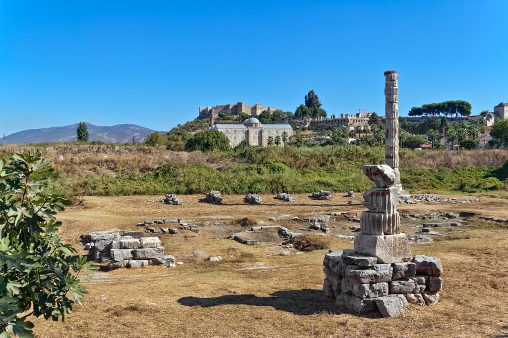 Remains of the Temple of Artemis in Ephesus. Photo: Shutterstock Remains of the Temple of Artemis in Ephesus. Photo: Shutterstock