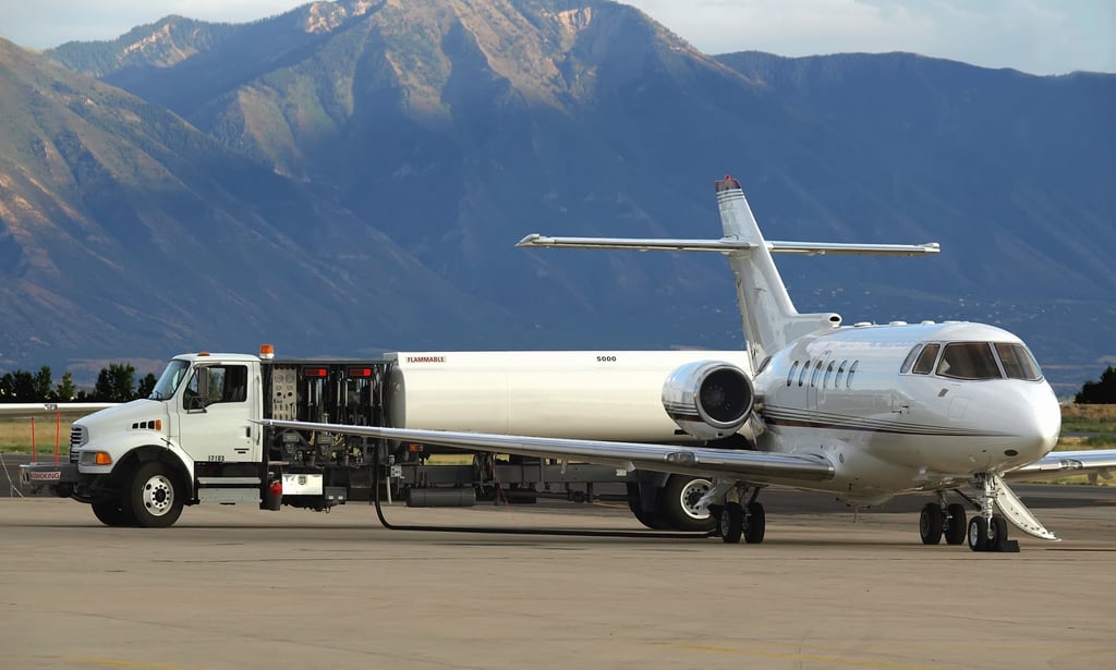 RGE’s agribusiness company Apical is upcycling agricultural waste after entering the sustainable aviation fuels market in a joint venture with Spanish biofuels firm Cepsa. RGE’s agribusiness company Apical is upcycling agricultural waste after entering the sustainable aviation fuels market in a joint venture with Spanish biofuels firm Cepsa.
