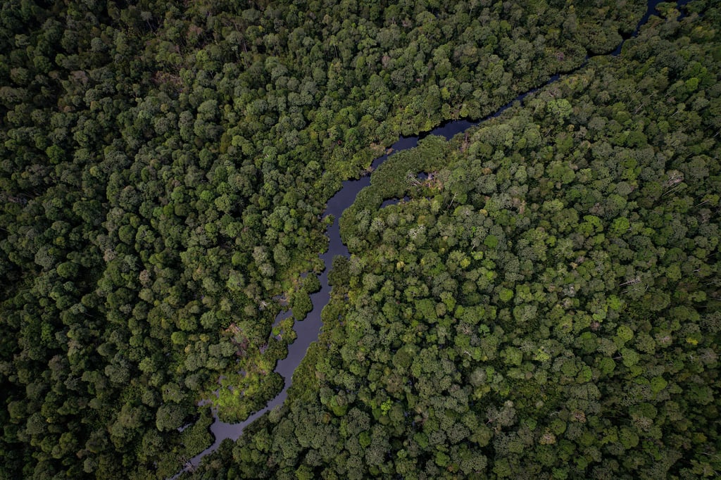 Pulp and paper manufacturer APRIL is restoring more than 150,000 hectares of degraded forest in Riau province, on Indonesia’s island of Sumatra. Pulp and paper manufacturer APRIL is restoring more than 150,000 hectares of degraded forest in Riau province, on Indonesia’s island of Sumatra.