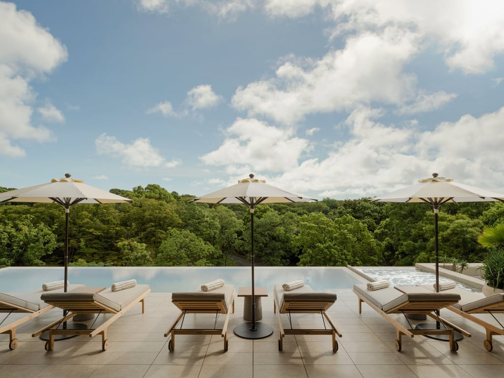 The Trunk (Pool Club) at Trunk (Hotel) Yoyogi Park in Tokyo offers beautiful views of the park. Photo: Handout The Trunk (Pool Club) at Trunk (Hotel) Yoyogi Park in Tokyo offers beautiful views of the park. Photo: Handout