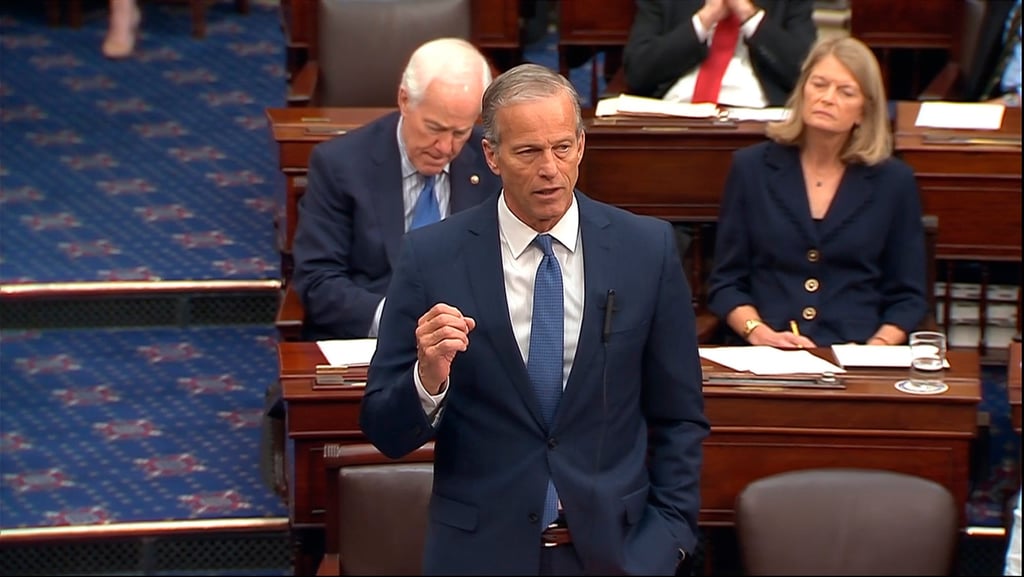 Senator John Thune, Republican of South Dakota, voted in favour of the legislation. Photo: Senate Television via AP