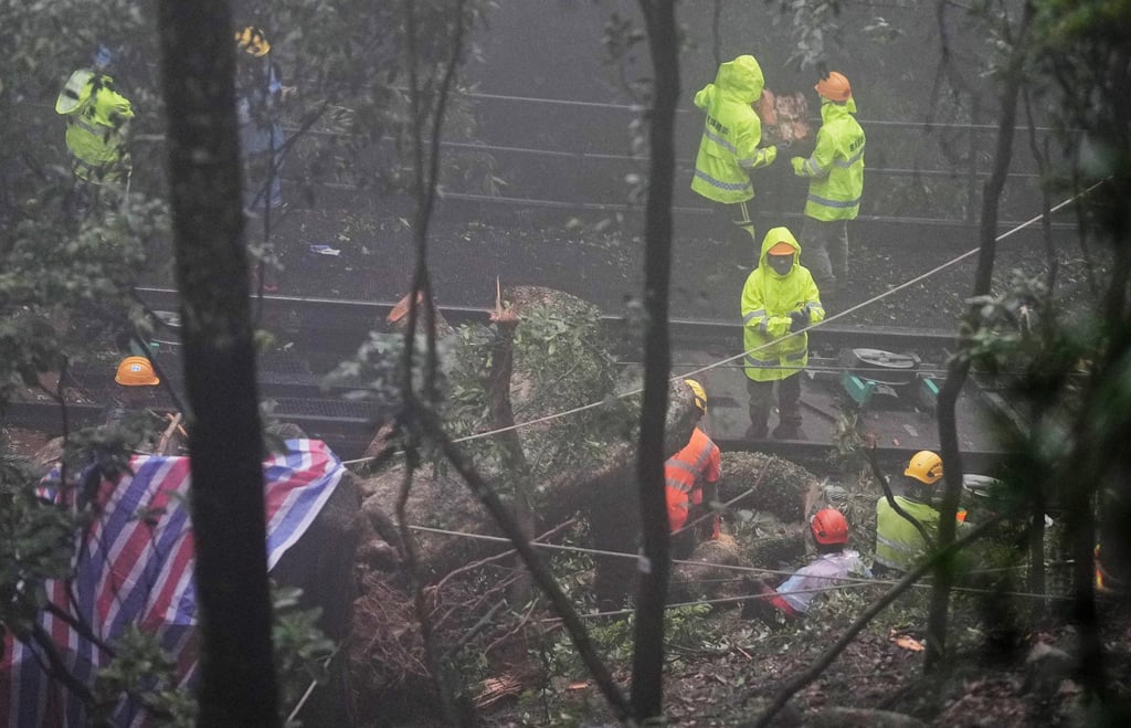 Workers clear branches near the Peak Tram’s tracks. Photo: Elson Li Workers clear branches near the Peak Tram’s tracks. Photo: Elson Li