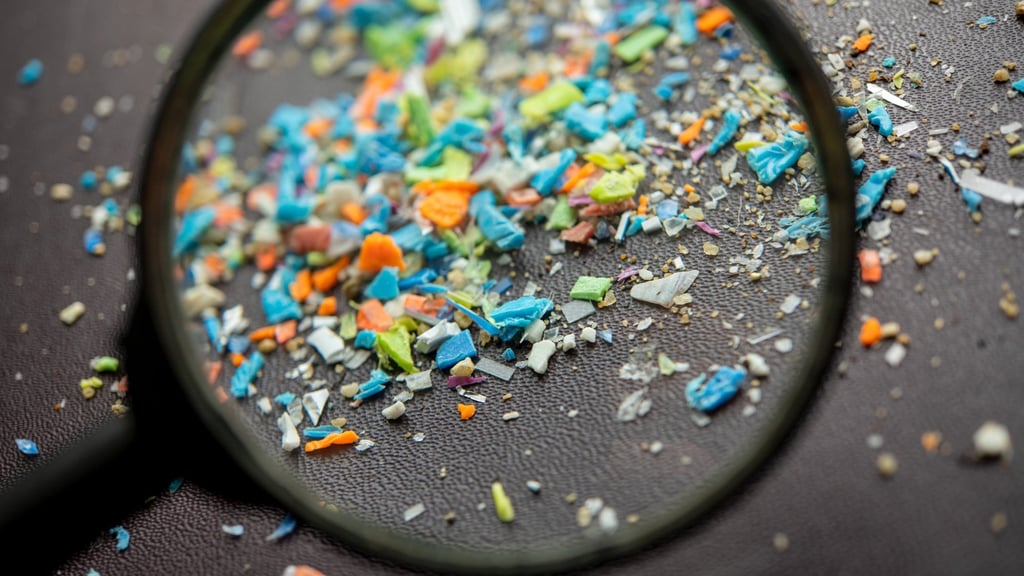 A bunch of microplastics is seen under a magnifying glass, they cannot be recycled and have become ubiquitous in the environment. Photo: Shutterstock