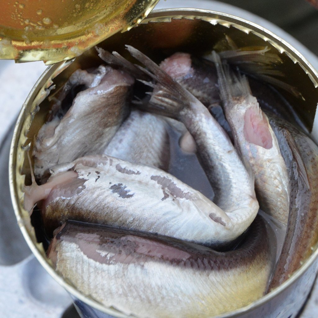 This Swedish fermented herring dish stinks to high heaven, but some people love it. Photo: Shutterstock